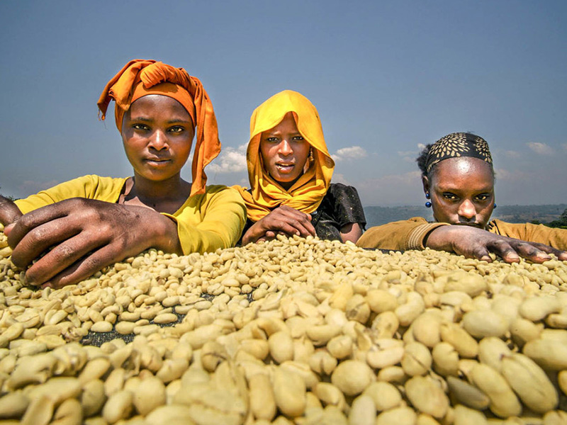 BeanOfMe ETHIOPIA – Gigessa