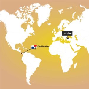 11Panama 11Panama