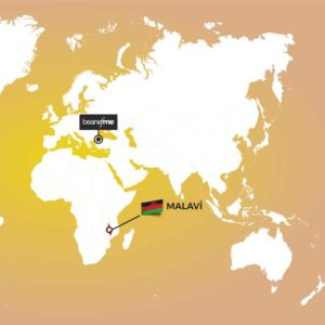 22Malavi 22Malavi