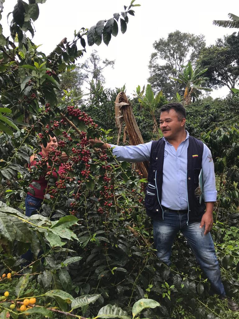 Colombia Geisha Mammutidae Collective