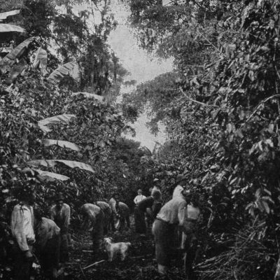 Kosta Rika'daki kahve işçileri