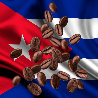 Küba'da kahve üretimi